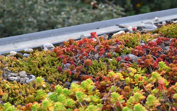 the cost of Ilketshall St Andrew green roof installation