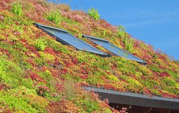 Ilketshall St Andrew living roof systems