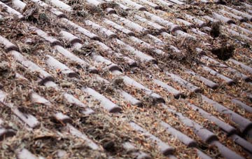 Ilketshall St Andrew roof cleaning companies