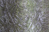 Ilketshall St Andrew fibreglass roof work